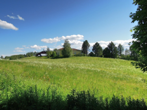 Kulttuurinen muutos on käynnissä